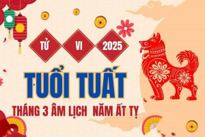 Tử vi tuổi Tuất tháng 3 năm 2025: Dự báo đây là một tháng nhiều sóng gió với con giáp này