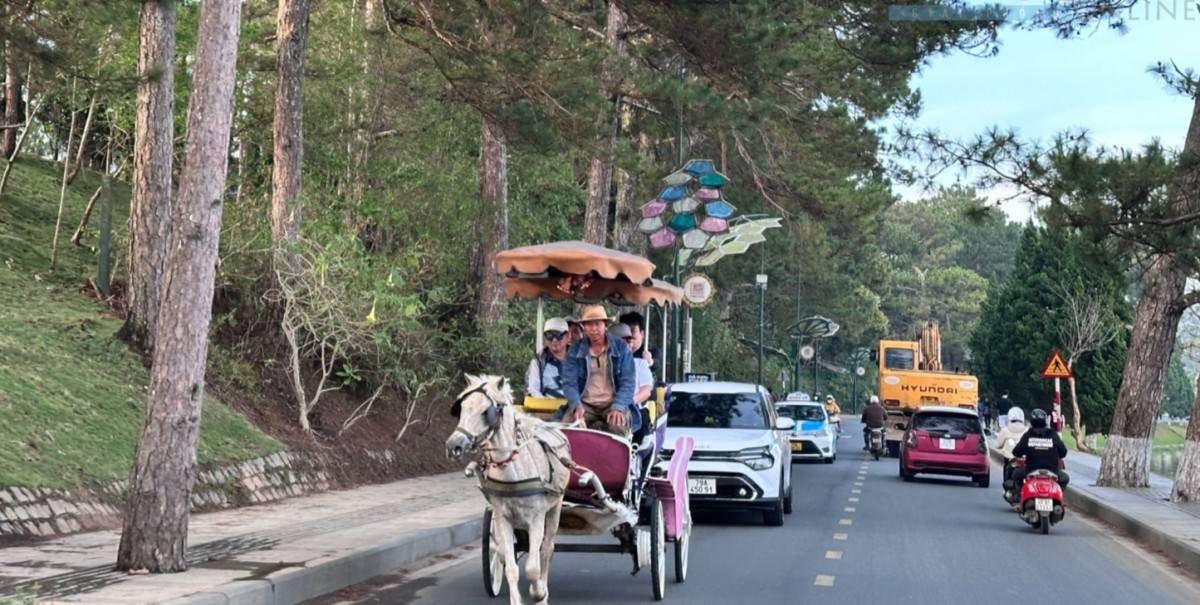 Lâm Đồng: Quyết dừng hoạt động xe ngựa tại khu vực Hồ Xuân Hương vì gây ô nhiễm và mất an toàn giao thông