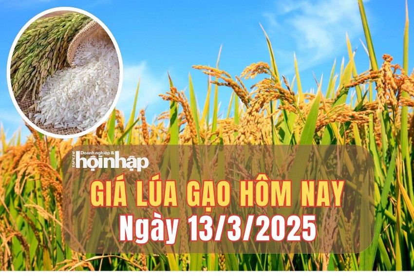 Giá lúa gạo hôm nay 13/3/2025: Giá lúa gạo ổn định, thị trường xuất khẩu chững lại Giá lúa gạo hôm nay 13/3/2025: Giá lúa gạo ổn định, thị trường xuất khẩu chững lại
