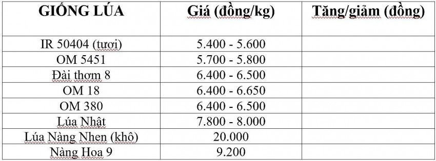 Bảng giá lúa hôm nay 13/3/2025. Bảng giá lúa hôm nay 13/3/2025.