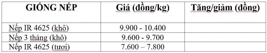 giá lúa gạo giá lúa gạo