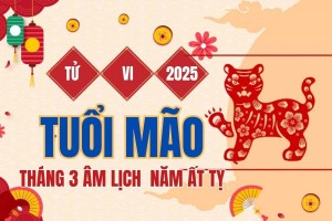 Tử vi tuổi Mão tháng 3 năm 2025: Dự báo về những khó khăn và bế tắc