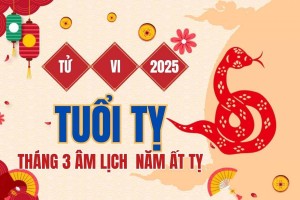 Tử vi tuổi Tỵ tháng 3 năm 2025: Tháng nhiều may mắn và thuận lợi ở mọi phương diện