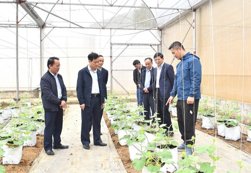 Lãnh đạo tỉnh Tuyên Quang thăm mô hình nông nghiệp ứng dụng công nghệ cao tại huyện Sơn Dương
