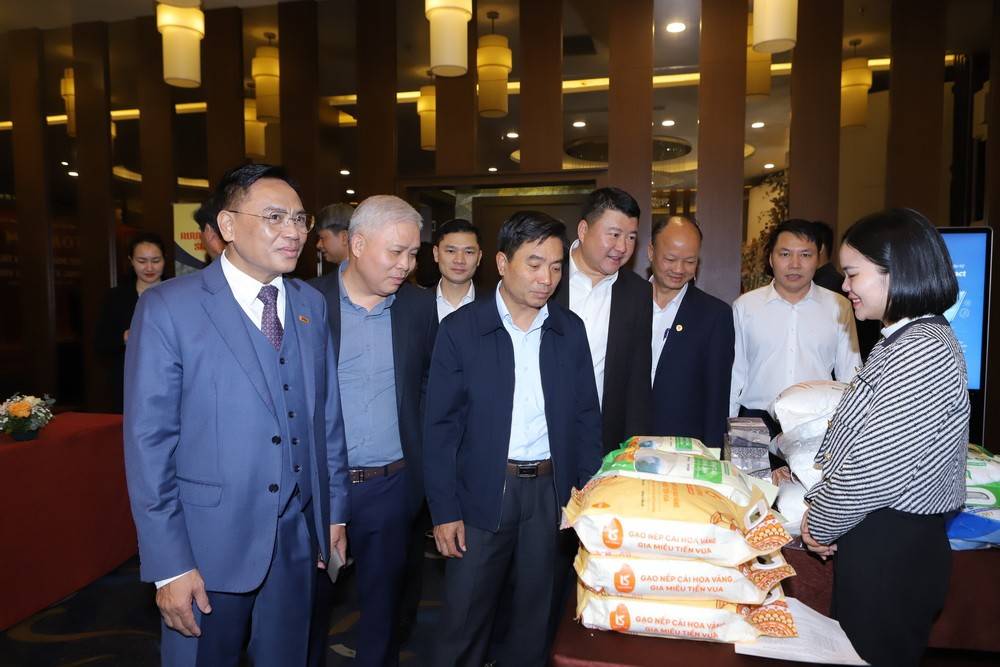 Bí thư Tỉnh ủy Nguyễn Doãn Anh thăm các gian hàng trưng bày.