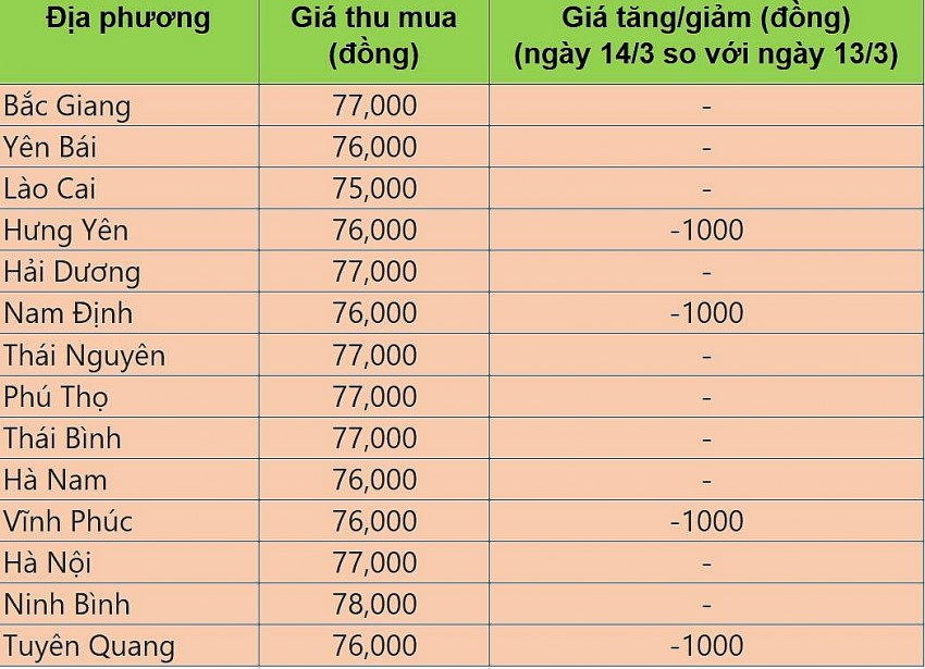 Bảng giá heo hơi tại miền Bắc hôm nay 14/3/2025.