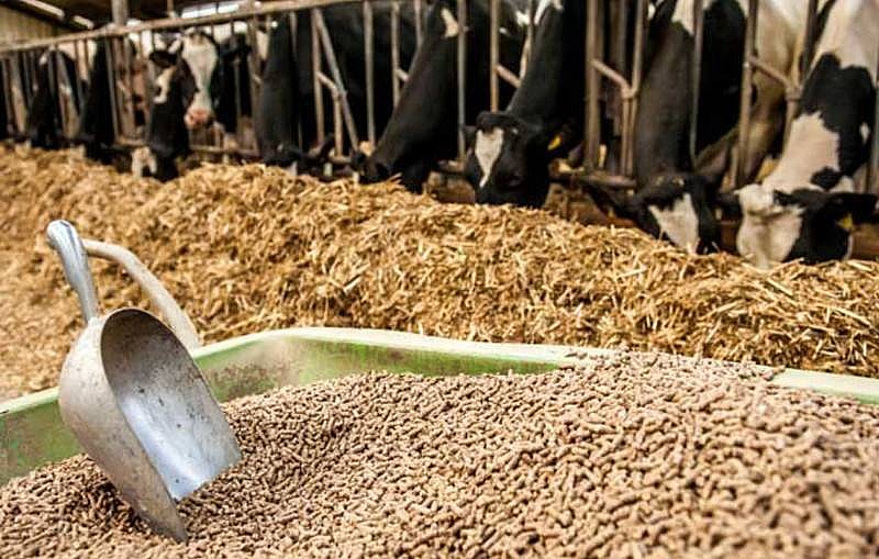 Những bất cập về quy định công bố hợp quy sản phẩm hàng hóa Những bất cập về quy định công bố hợp quy sản phẩm hàng hóa