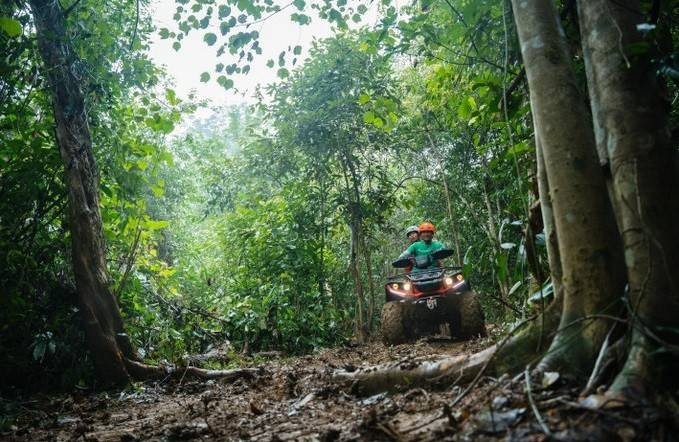 Tỉnh Quảng Bình có trên 590.000ha rừng, tỷ lệ che phủ đạt 68,7. (Nguồn: TTXVN)