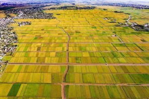 Hưng Hà - Thái Bình: Bước đi đột phá trong phát triển nông nghiệp và hợp tác quốc tế