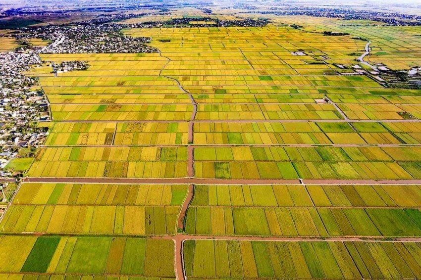 Hưng Hà - Thái Bình: Bước đi đột phá trong phát triển nông nghiệp và hợp tác quốc tế