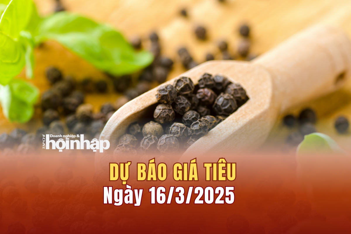 Dự báo giá tiêu 16/3: Giá tiêu trong nước đảo chiều giảm