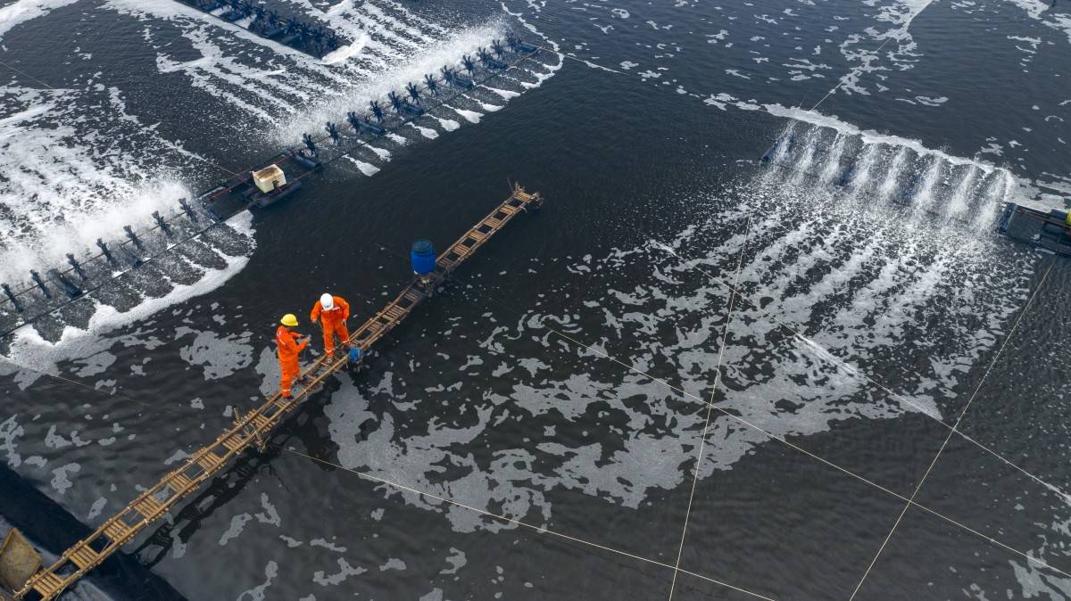 3 cuộc thi đặc biệt chào mừng 50 năm thành lập ngành Điện miền Nam 3 cuộc thi đặc biệt chào mừng 50 năm thành lập ngành Điện miền Nam