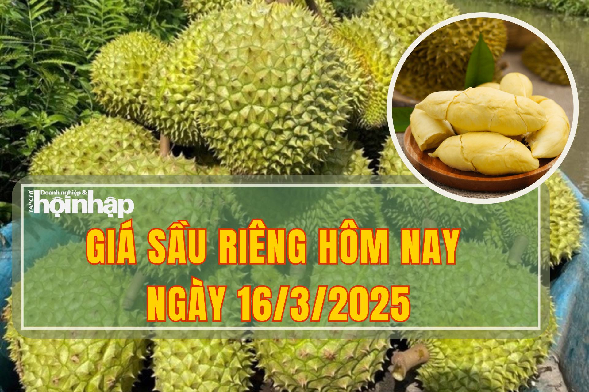 Giá sầu riêng hôm nay 16/3: Sầu riêng Thái giá giảm