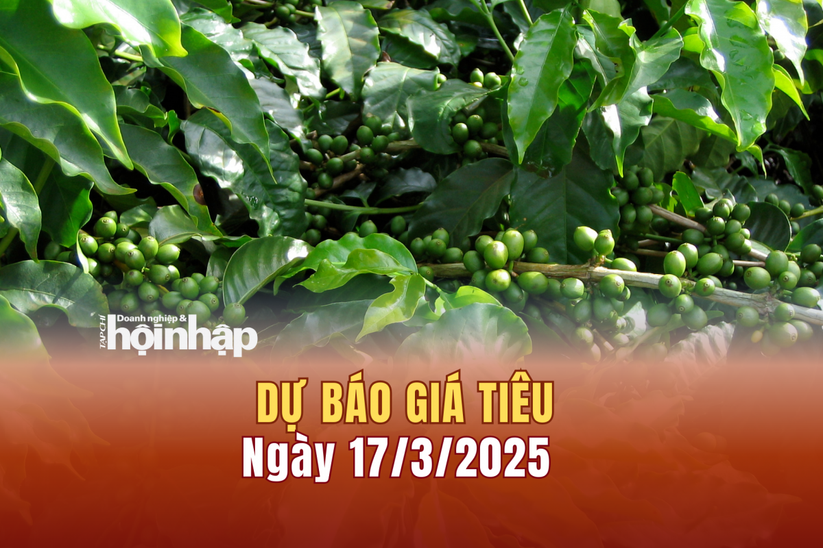 Dự báo giá tiêu 17/3/2025