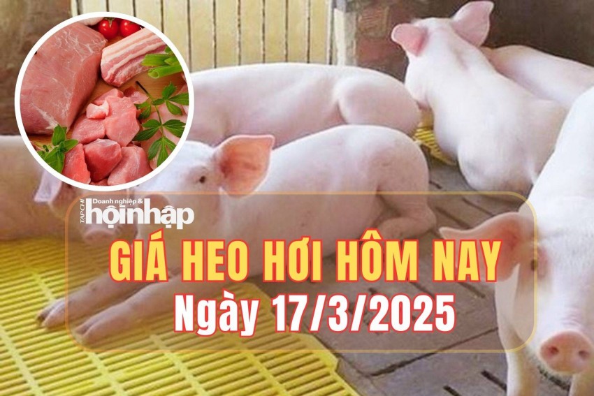 giá heo hơi