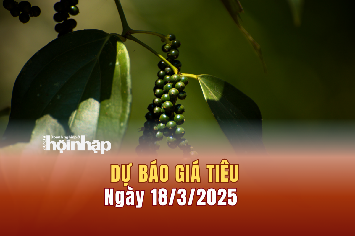 Dự báo giá tiêu 18/3/2025