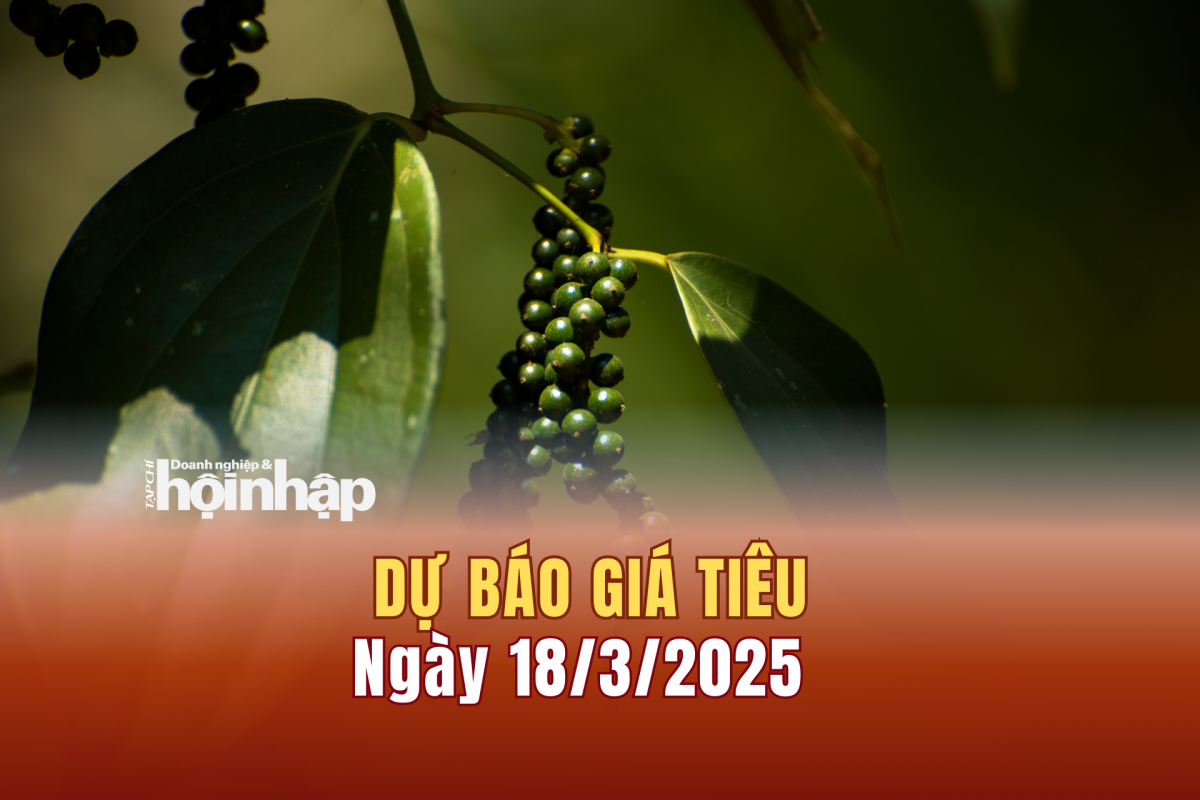 Dự báo giá tiêu 18/3: Giá tiêu trong nước tăng