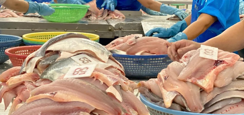 Vị thế của thủy sản Việt Nam tại Brazil Vị thế của thủy sản Việt Nam tại Brazil