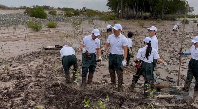 Panasonic Việt Nam xác lập kỷ lục trồng 1 triệu cây nhanh nhất