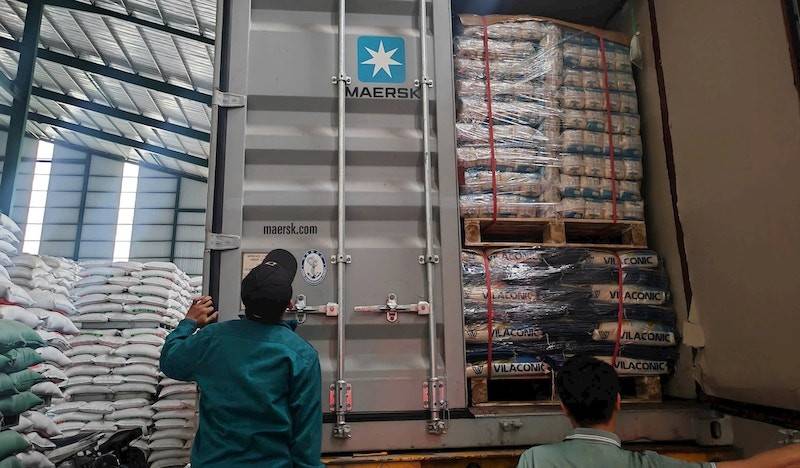 Công ty Cổ phần Vilaconic xuất khẩu gạo sang thị trường Hoà Kỳ