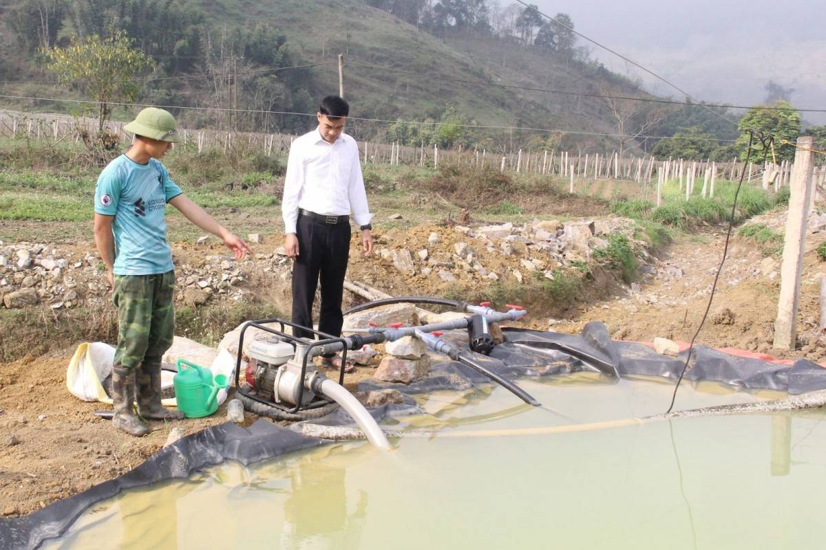 Sơn La: Đẩy mạnh nông nghiệp bền vững thông qua công nghệ cao ở Vân Hồ