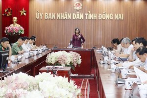 Đồng Nai phải hoàn thành kiểm kê đất đai cấp huyện trước 25/3/2025