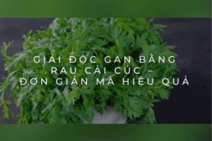 Giải độc gan bằng rau cải cúc – Đơn giản mà hiệu quả