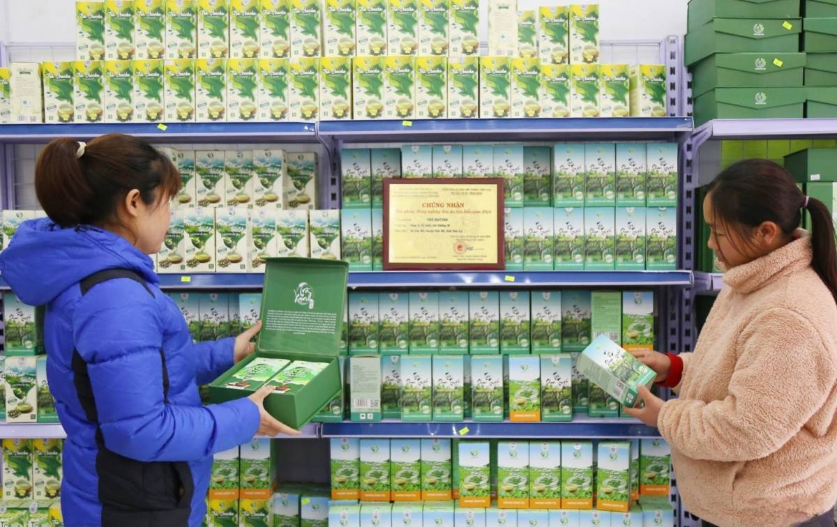 Sơn La: Phát triển sản phẩm OCOP tại huyện Vân Hồ