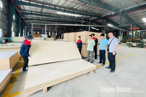 Tuyên Quang: Phát triển môi trường kinh doanh  là chìa khóa tăng trưởng