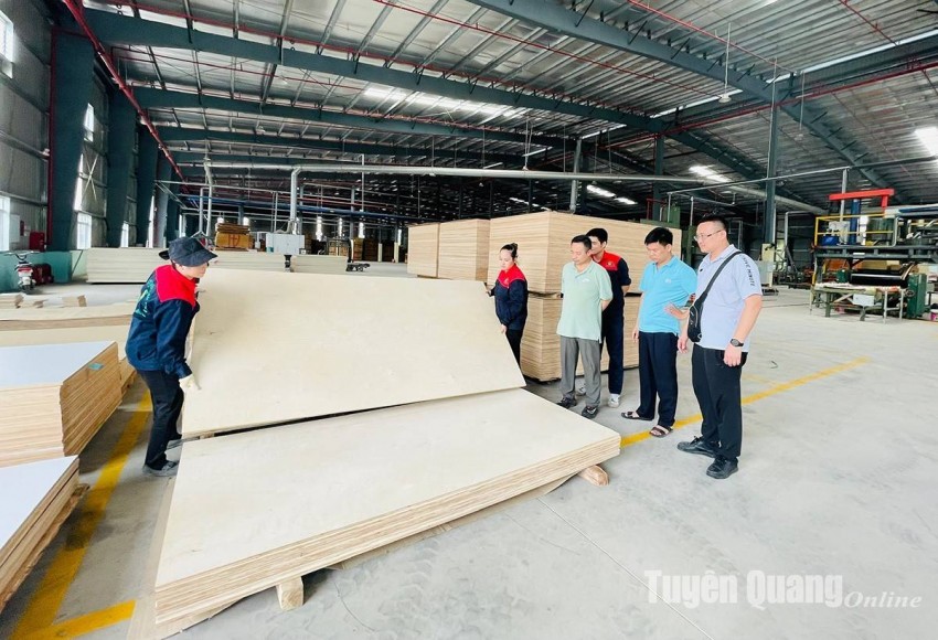 Công ty TNHH Sao Việt, Khu công nghiệp Long Bình An, TP. Tuyên Quang giới thiệu sản phẩm tới đối tác người Trung Quốc. Tuyên Quang: Phát triển môi trường kinh doanh  là chìa khóa tăng trưởng