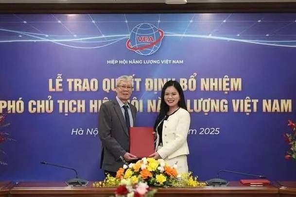 Lãnh đạo Tập đoàn T&T Group làm Phó Chủ tịch Hiệp hội Năng lượng - VEA