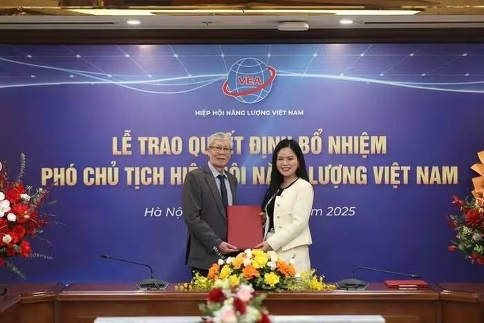 Lãnh đạo Tập đoàn T&T Group làm Phó Chủ tịch Hiệp hội Năng lượng - VEA