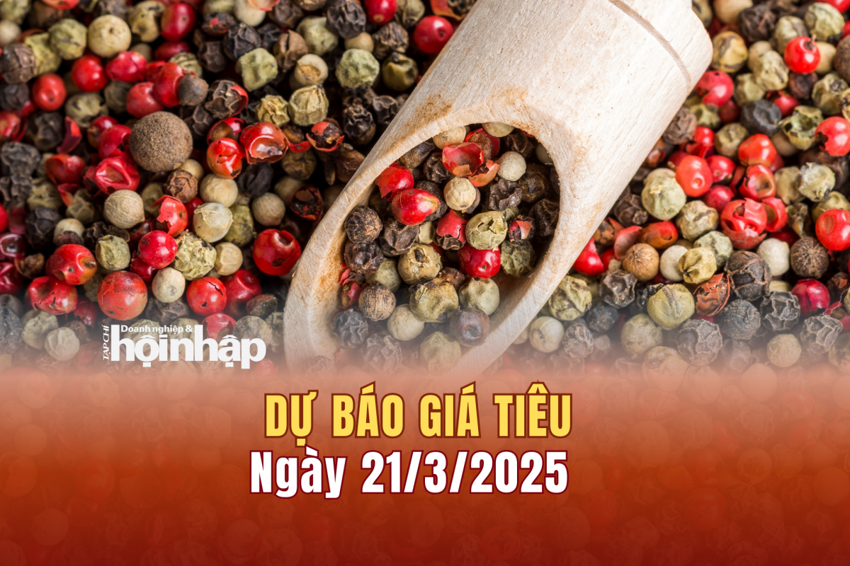 Dự báo giá tiêu 21/3/2025