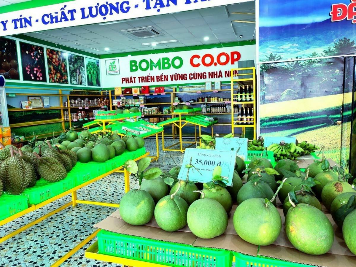 Bình Phước: Điểm sáng về nông sản và chiến lược phát triển bền vững 2025 Bình Phước: Điểm sáng về nông sản và chiến lược phát triển bền vững 2025