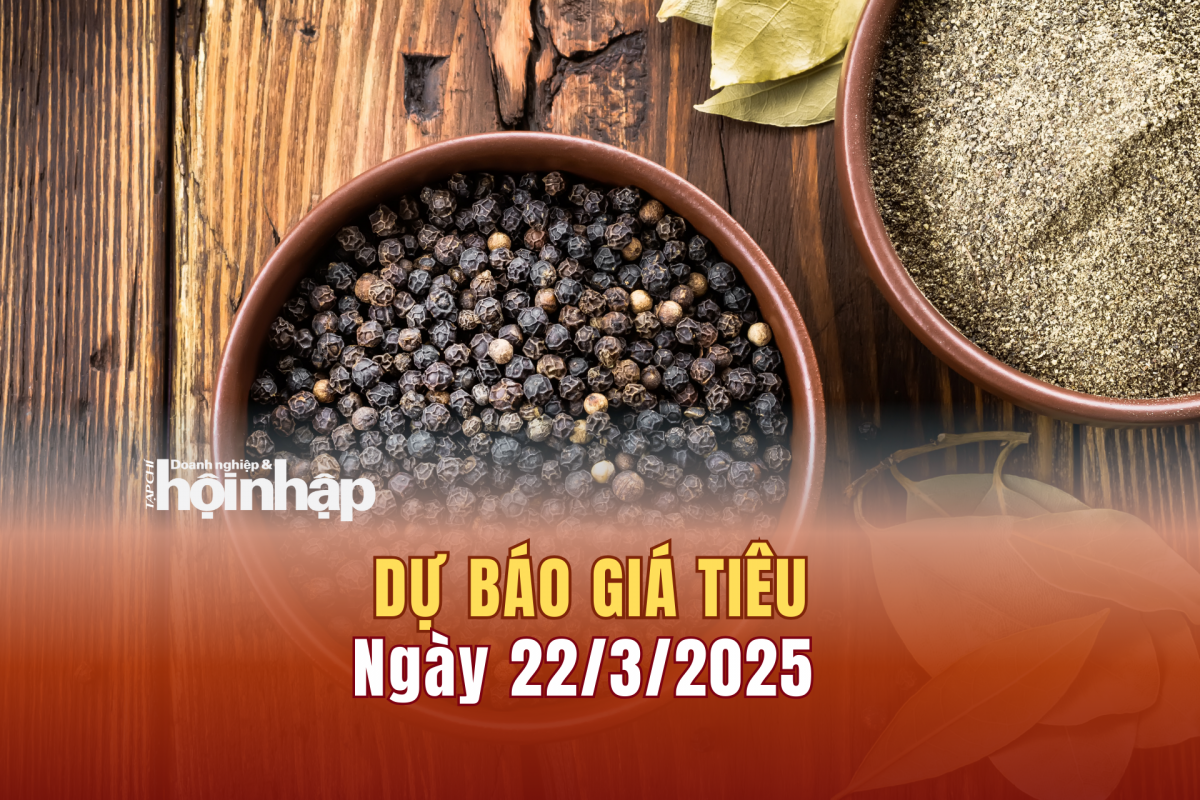 Dự báo giá tiêu 22/3/2025 Dự báo giá tiêu 22/3/2025