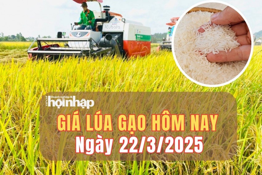 giá lúa gạo