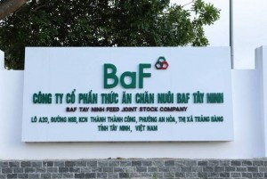 2/3 thành viên Ban Kiểm soát BaF Việt Nam xin từ nhiệm trước đại hội cổ đông