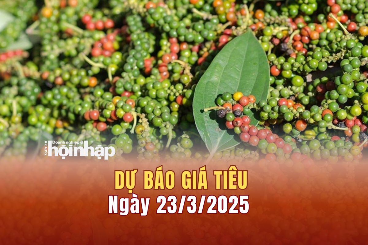 Dự báo giá tiêu 23/3/2025