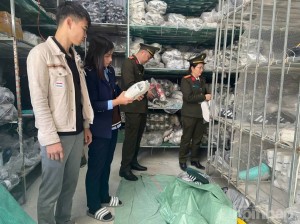Phú Thọ: Xử phạt 215 triệu đồng, tiêu hủy hơn 5.800 đôi giày giả mạo