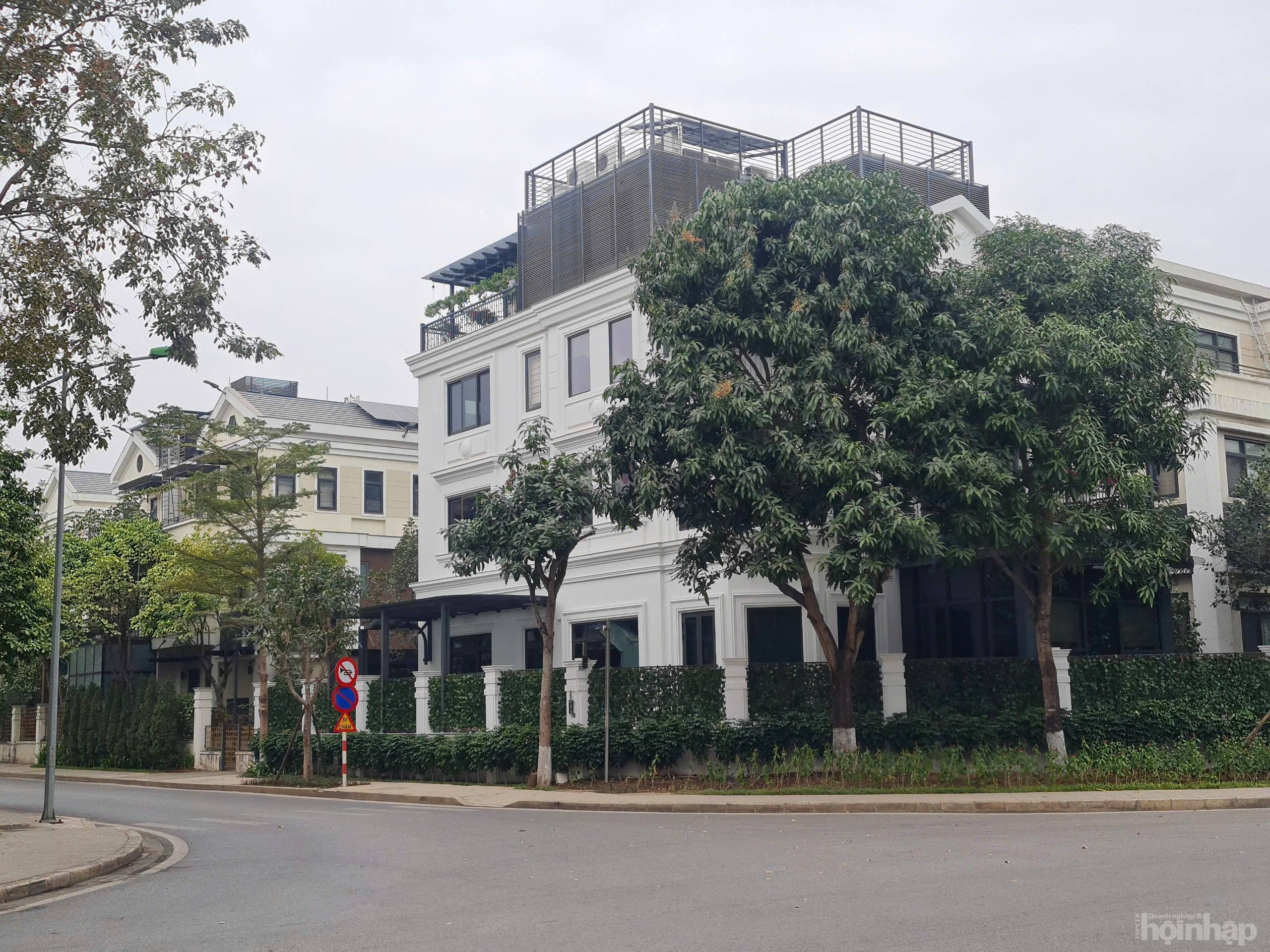 Nhà đầu tư đổ xô săn đất: Cơ hội hay cơn sốt ảo?