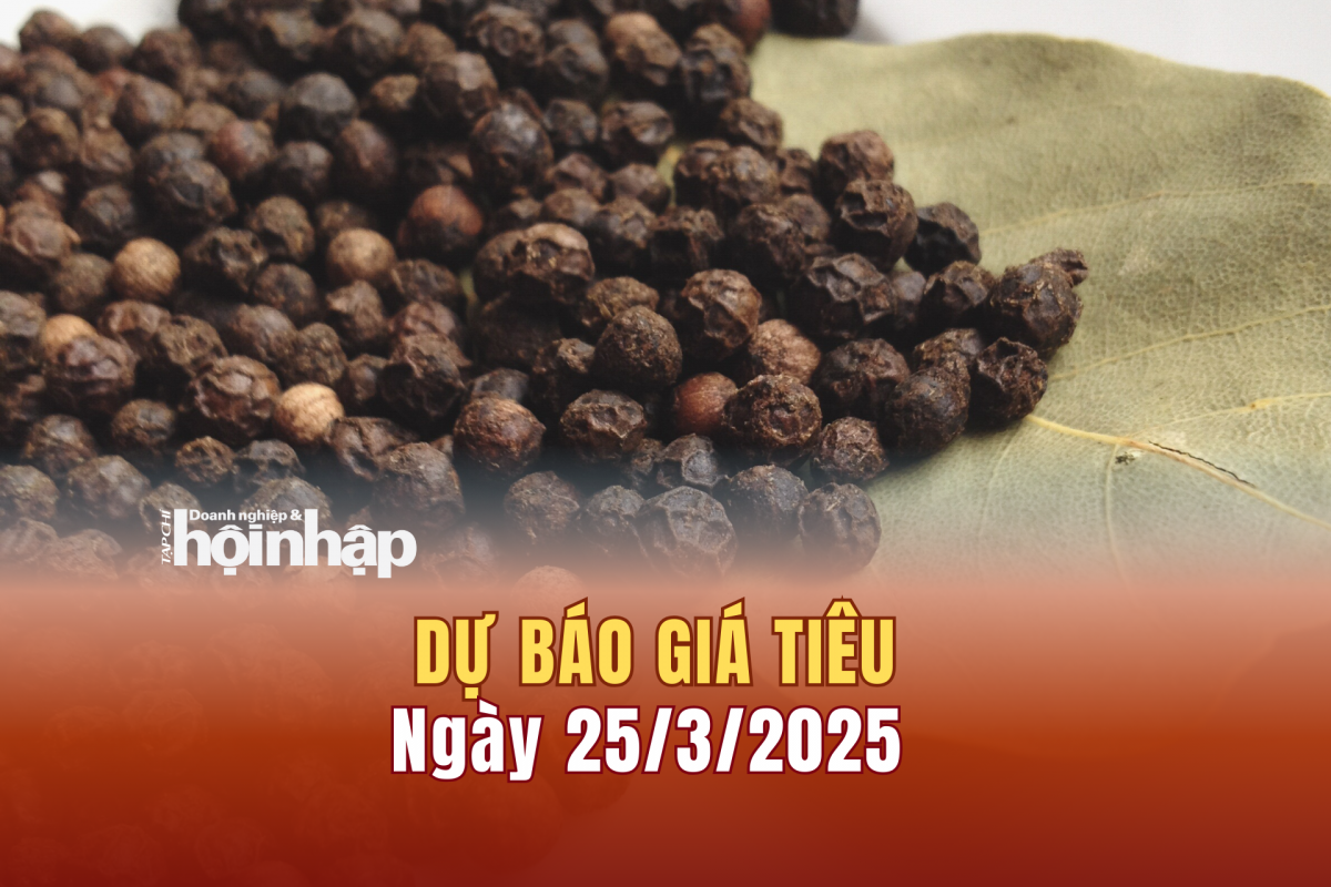 Dự báo giá tiêu 25/3/2025