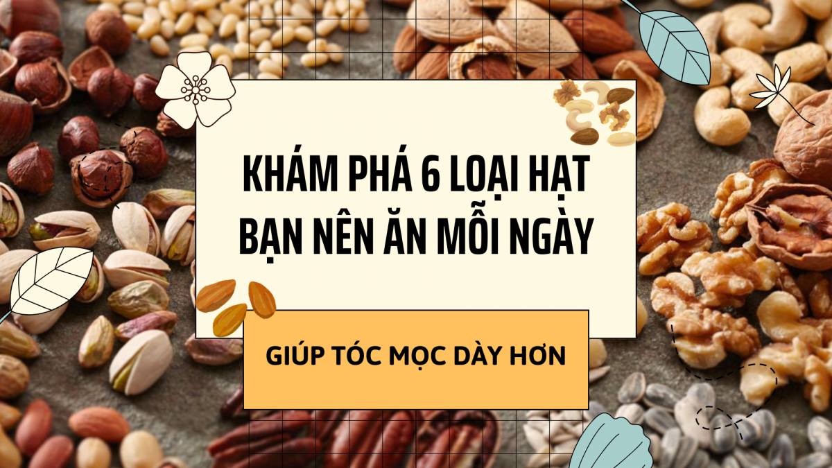 Khám phá 6 loại hạt bạn nên ăn mỗi ngày giúp tóc mọc dày hơn