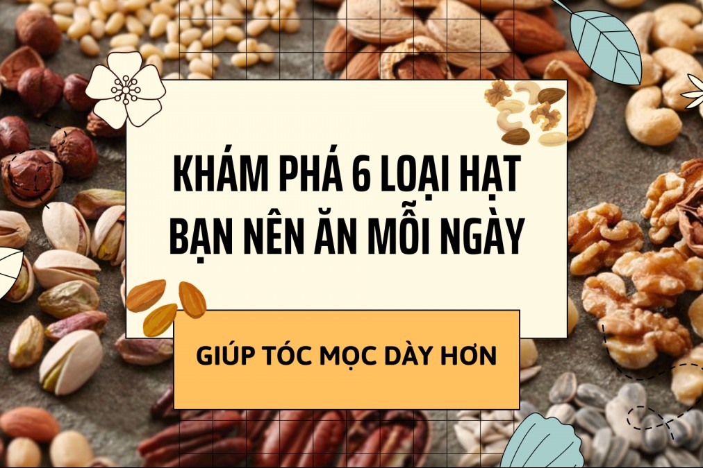 Khám phá 6 loại hạt bạn nên ăn mỗi ngày giúp tóc mọc dày hơn