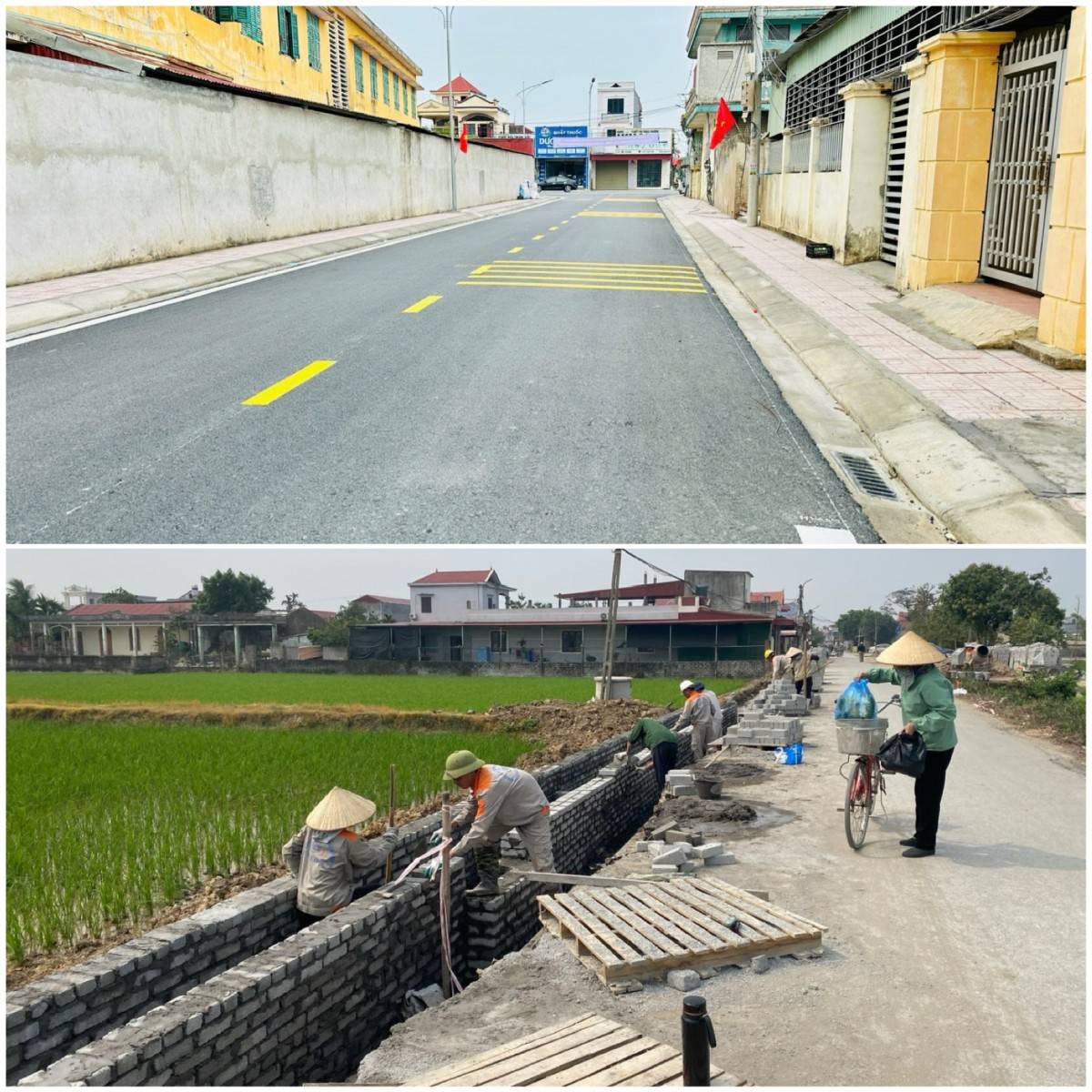 Hải Phòng: 2 huyện đạt chuẩn huyện nông thôn mới nâng cao năm 2024 Hải Phòng: huyện Tiên Lãng và huyện An Lão đạt chuẩn huyện nông thôn mới nâng cao năm 2024