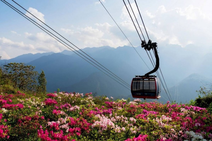 Mê mẩn vương quốc hoa đỗ quyên nơi đỉnh trời