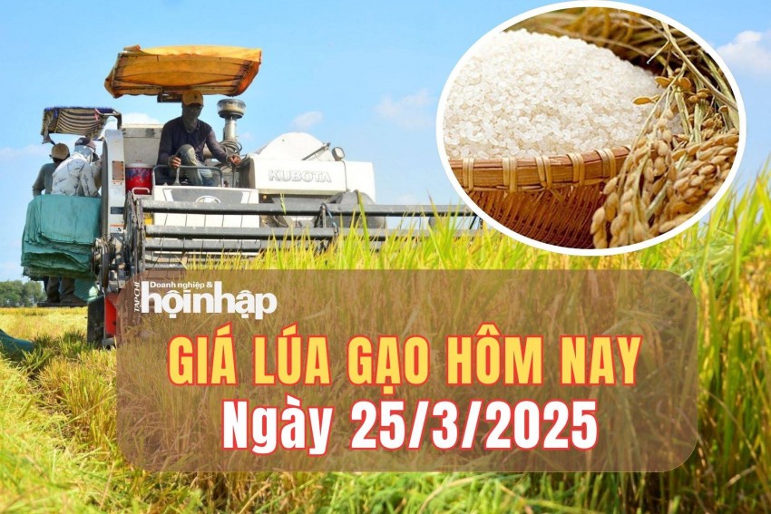 giá lúa gạo