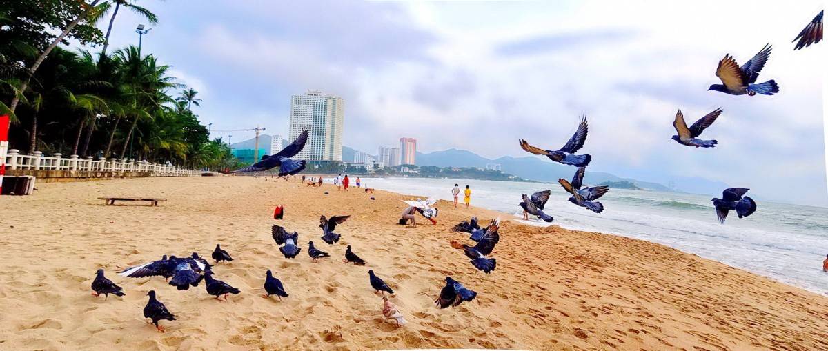 1.000 du khách nhiều quốc gia trên tàu biển quốc tế  STAR NAVIGATOR cặp Cảng Quốc tế Cam Ranh