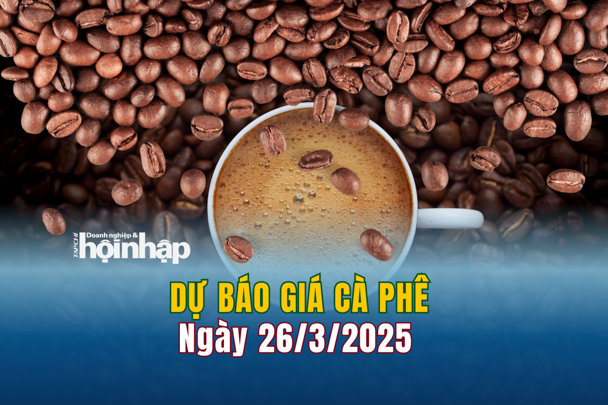 Dự báo giá cà phê 26/3/2025 Dự báo giá cà phê 26/3/2025