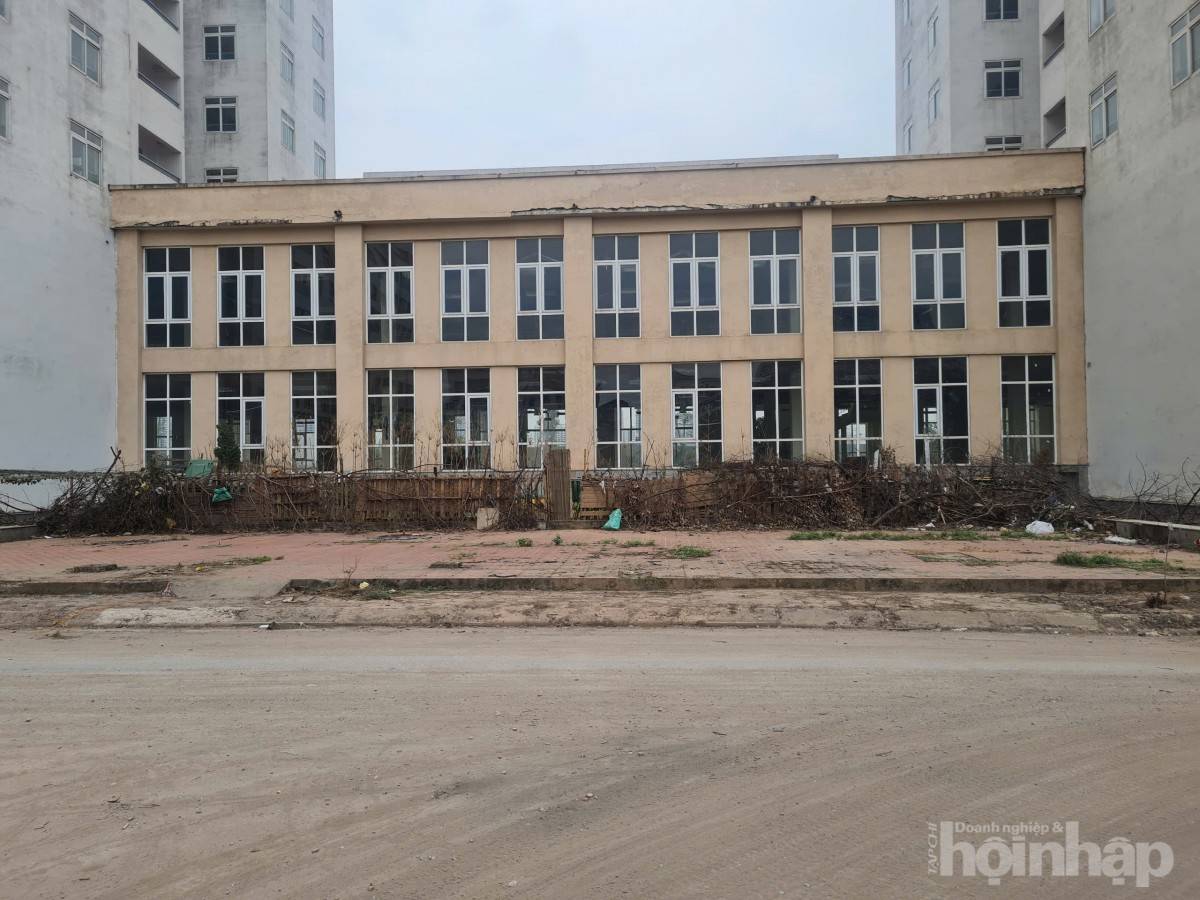 Bài II: Hàng trăm căn hộ tái định cư thuộc Khu tái định cư Xuân La bỏ hoang lâu năm