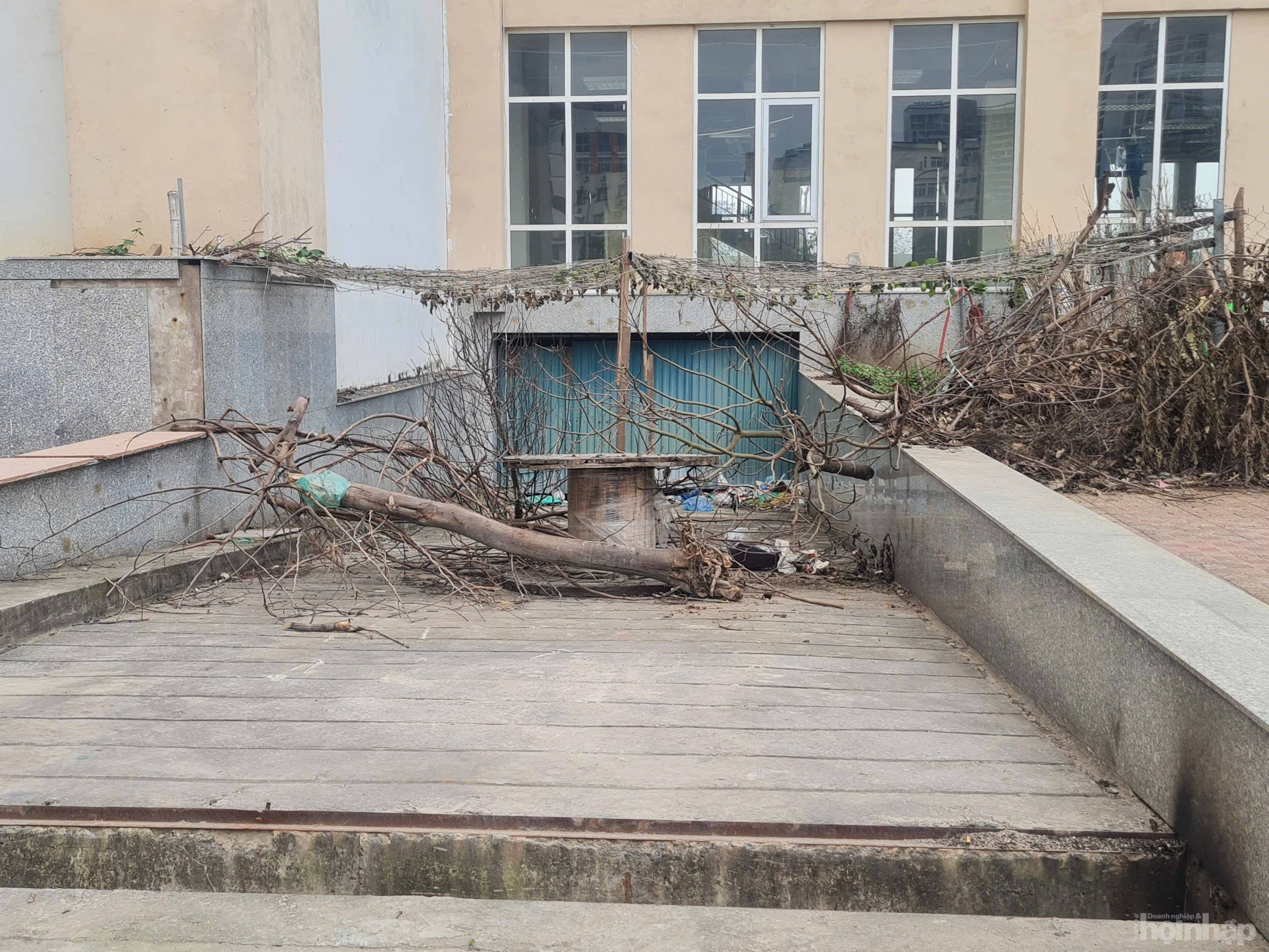 Bài II: Hàng trăm căn hộ tái định cư thuộc Khu tái định cư Xuân La bỏ hoang lâu năm